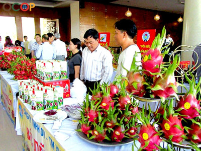 Vinacel - Hỗ Trợ Tiêu Thụ Sản Phẩm OCOP Tỉnh Bình Thuận