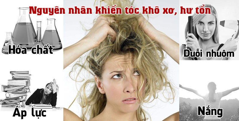 Những nguy cơ khiến tóc bị hư tổn