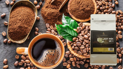 Gu Hạt Mộc 1 Raincoffee - Gu Đặc Biệt Khơi Nguồn Cho Phong Cách