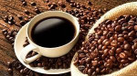 Gu Hạt Mộc 2 Raincoffee - Gu Đặc Biệt Cho Người Thành Công