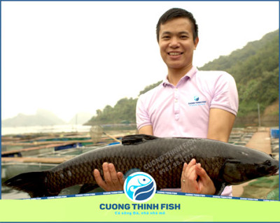 Cá Trắm Đen Sông Đà Cường Thịnh – SP OCOP 4 Sao Hòa Bình