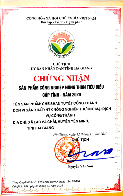 Chè Shan Tuyết Cổng Thành Loại Đặc Biệt - SP OCOP 4 Sao Hà Giang