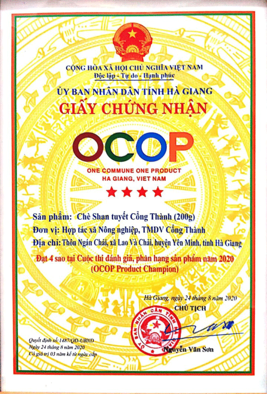 Chè Shan Tuyết Cổng Thành Loại Đặc Biệt - SP OCOP 4 Sao Hà Giang