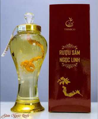 Rượu Củ Sâm Ngọc Linh Triết Minh - SP OCOP 3 Sao Quảng Nam