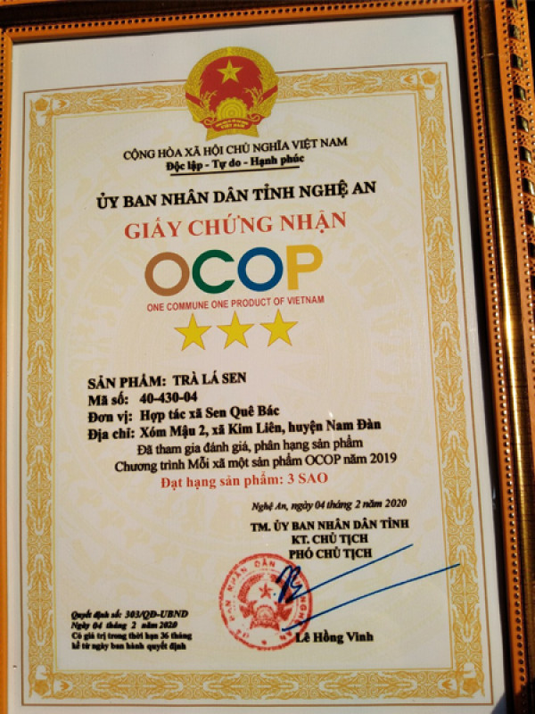 Trà Củ Sen Quê Bác - SP OCOP 3 Sao Nghệ An