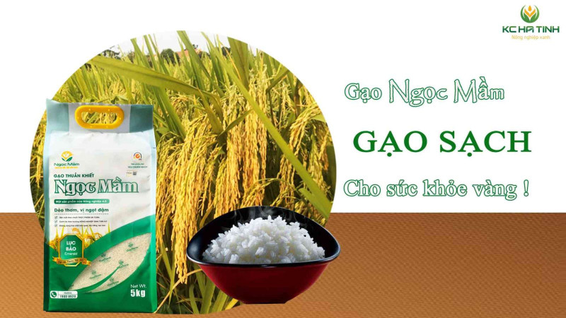 Gạo Ngọc Mầm Nhung Hươu Việt -&nbsp;Cơm Dẻo, Hương Thơm Tự Nhiên