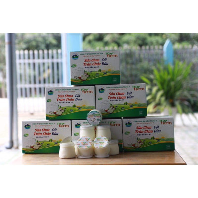 Sữa Chua Trân Châu Cốt Dừa Myfarm - SP OCOP 4 Sao Hà Nội
