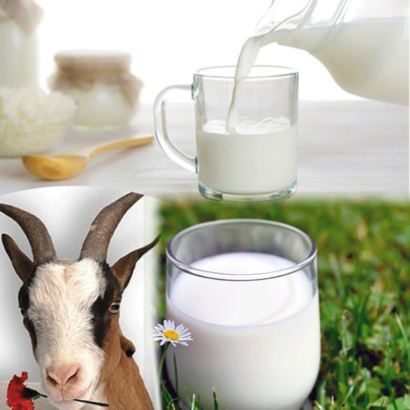 Sữa Tươi Nông Trại Thanh Trùng Dê Myfarm - SP OCOP 4 Sao Hà Nội