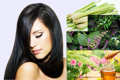 Mẹo chữa rụng tóc hiệu quả từ thảo dược thiên nhiên?
