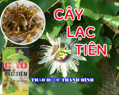 Cao Lạc Tiên Thanh Bình - SP OCOP 3 Sao Quảng Bình