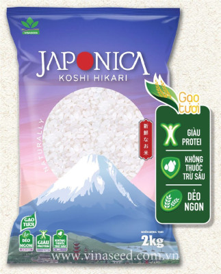 Gạo Japonica Vinaseed