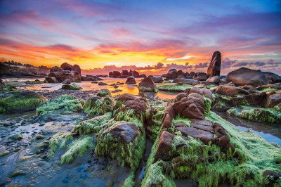 Bãi đá rêu xanh tại biển Cổ Thach đẹp như chốn tiên cảnh