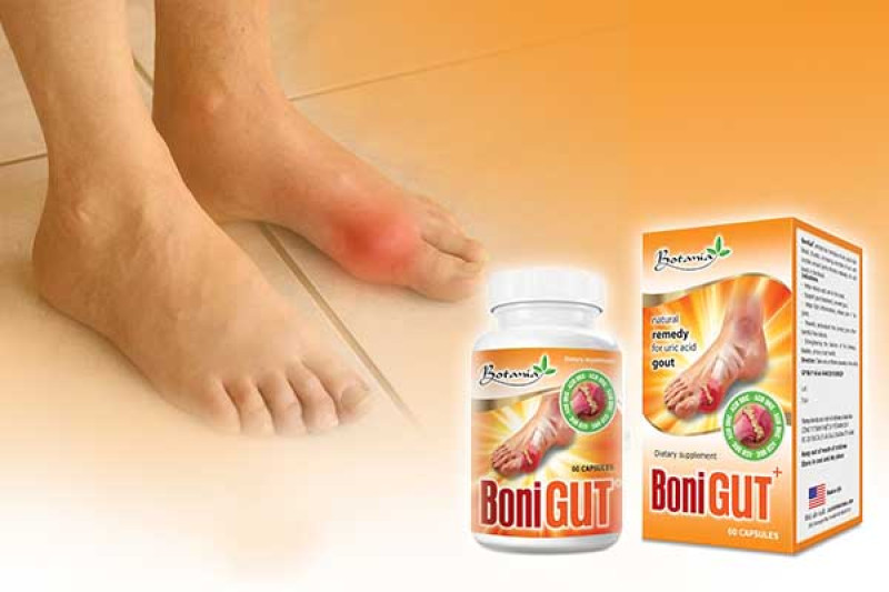 TPBVSK BoniGut + Botania – Hỗ Trợ Điều Trị Bệnh Gout