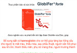 TPBVSK Globifer® Forte Neufarpro - Bổ Sung Máu Cho Người Thiếu Máu