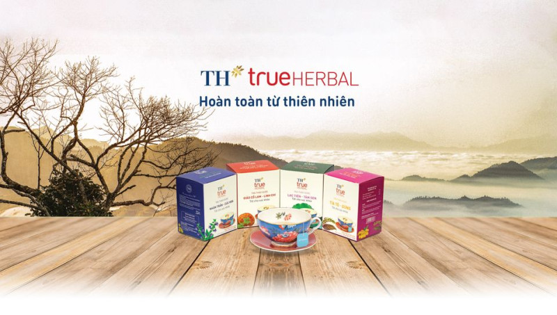 Trà Tía tô – Gừng TH True Herbal - Giảm Cảm Lạnh, Ho, Sốt