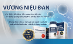 Thực Phẩm BVSK Vương Niệu Đan Thái Minh Pharma - Giảm Kích Thích Bàng Quang, Giảm Tiểu Đêm