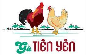 Hợp Tác Xã Chăn Nuôi Gà Tiên Yên