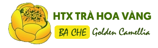 HTX Dược Liệu Trà Hoa Vàng Ba Chẽ