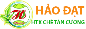 HTX Chè Tân Cương Hảo Đạt