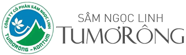 Công Ty Cổ Phần Sâm Ngọc Linh Tumơrông Kon Tum