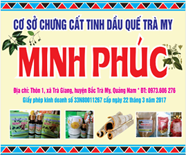 Tinh Dầu Quế Trà My Minh Phúc