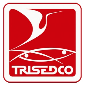 Công Ty CP Đầu Tư Du Lịch Và Phát Triển Thủy Sản