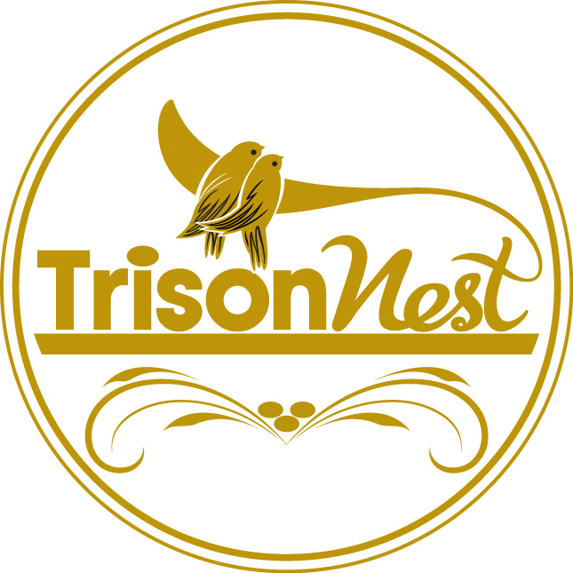 Công Ty TNHH TM DV Trí Sơn