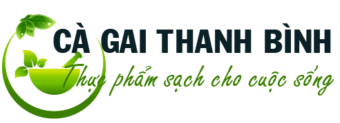 Cà Gai Leo Thanh Bình