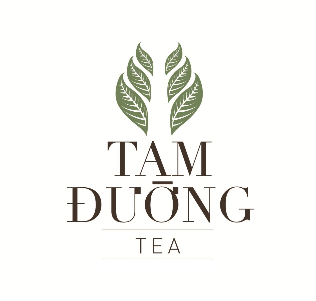 Công Ty Cổ Phần Đầu Tư Phát Triển Chè Tam Đường