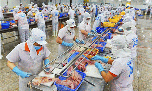 Công Ty TNHH Hùng Cá