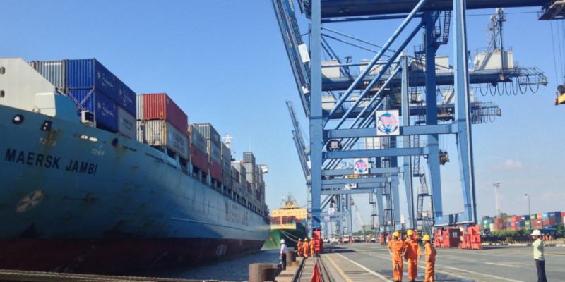 Công Ty TNHH Xuất Nhập Khẩu VI NA Đại Việt