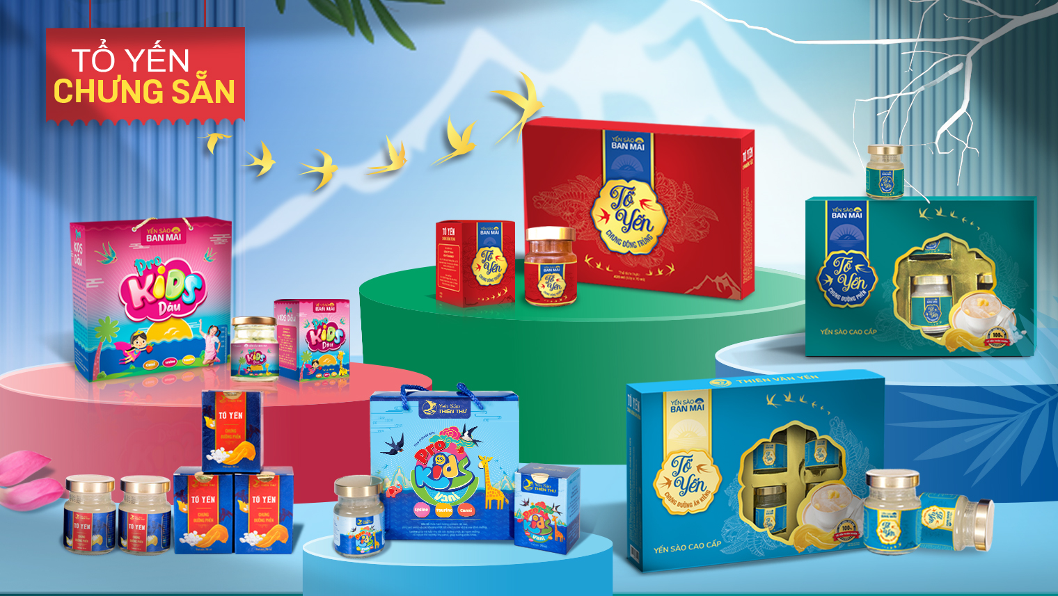 Yến Sào Yến Mai