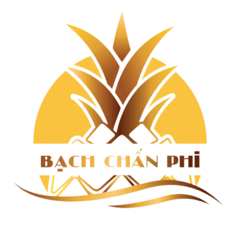 Công Ty TNHH MTV Bạch Chấn Phi