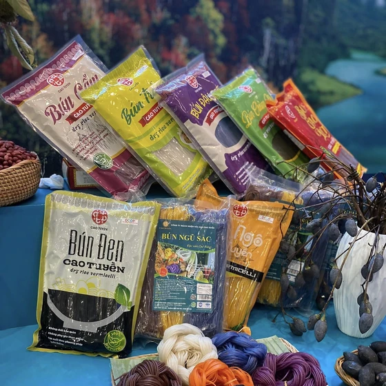 Công Ty TNHH Cao Tuyền