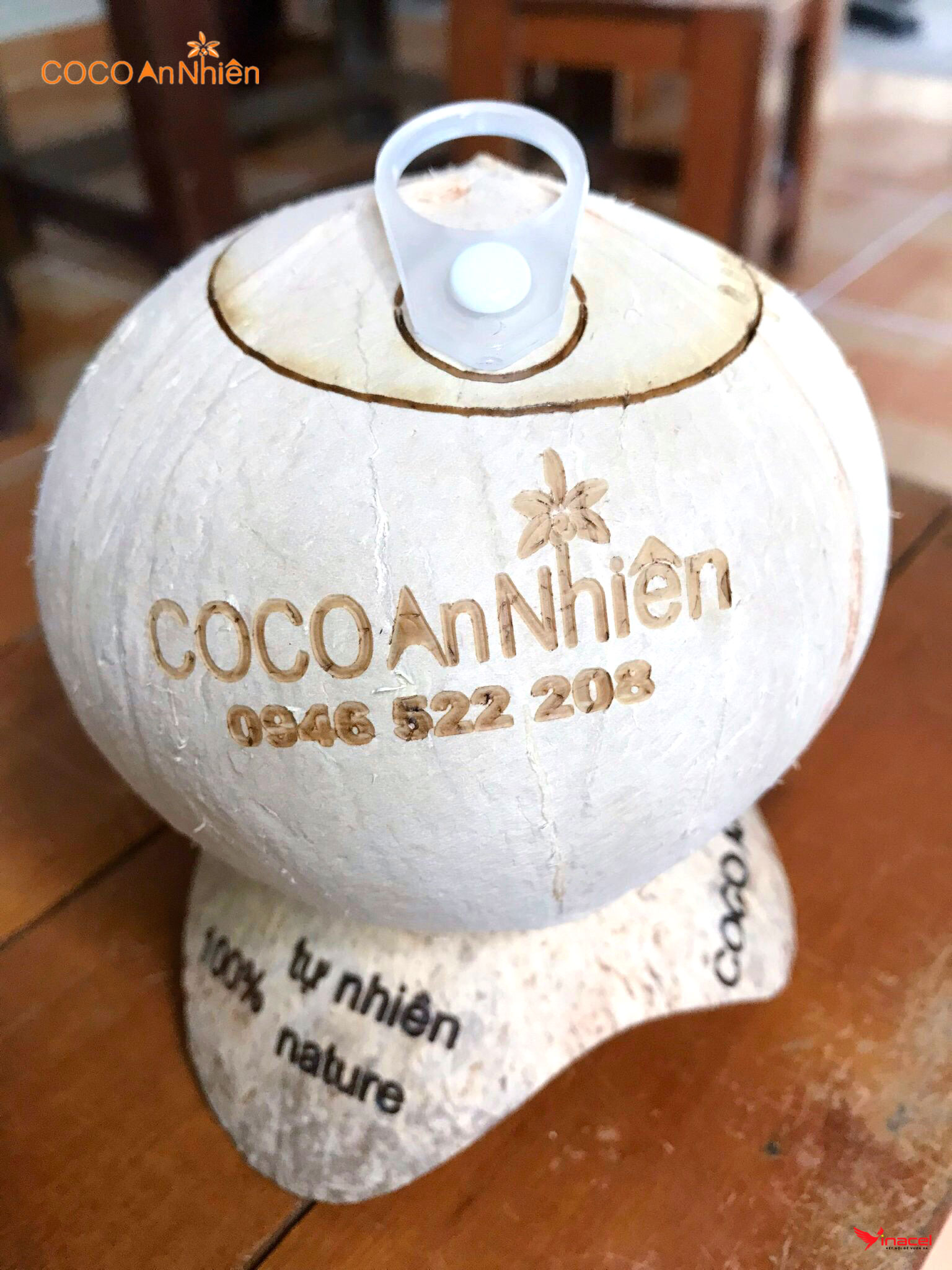 Dừa Nắp Khoen COCO An Nhiên – Đặc Sản Kiên Giang