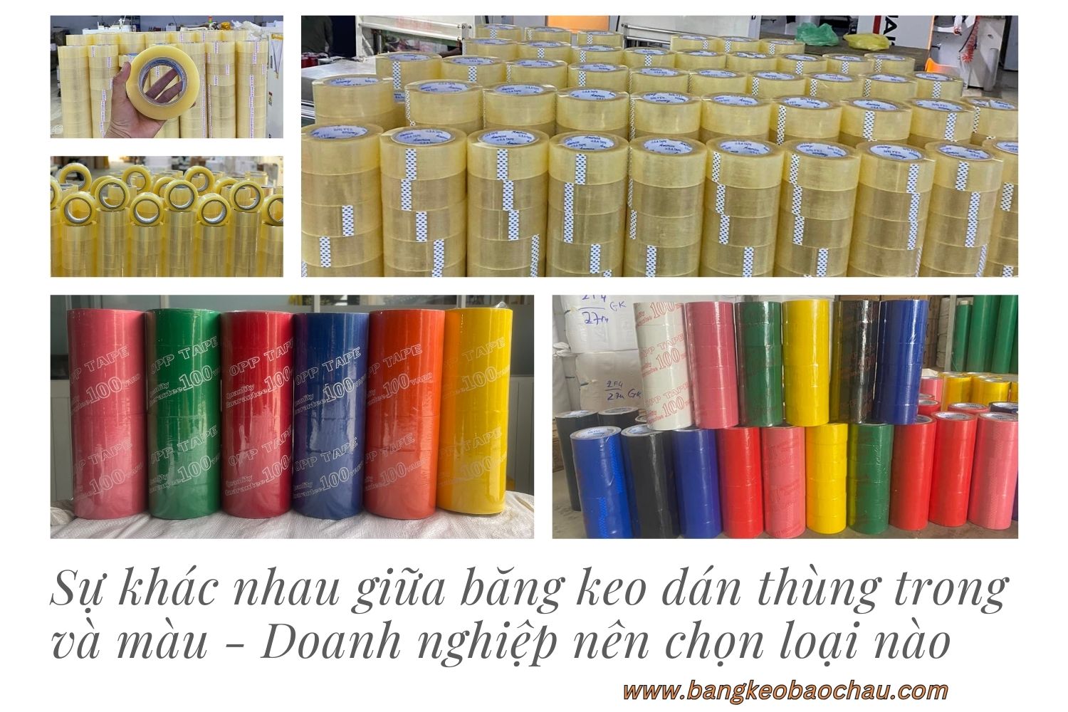 Sự khác nhau giữa băng keo dán thùng trong và màu - Doanh nghiệp nên chọn loại nào