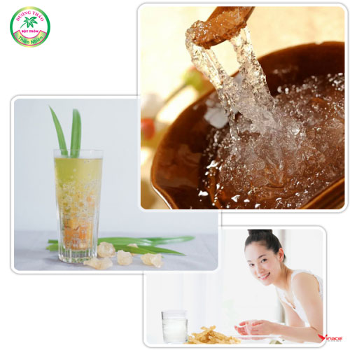 Mủ Trôm Dương Thảo Chính Hãng, Giá Sỉ