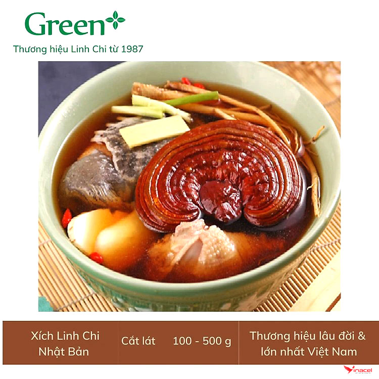 Xích Linh Chi Nhật Thượng Hảo Hạng Green+ Chính Hãng