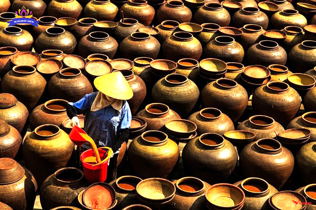Tương Sa Nam Hương Dương Chính Hãng, Giá Sỉ