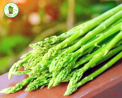 Măng Tây Xanh Nguyễn Ri Bo Chính Hãng, Giá Sỉ