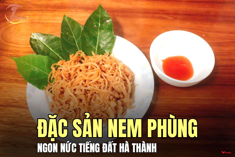 Nem Phùng Thái Cam Chính Hãng, Giá Sỉ