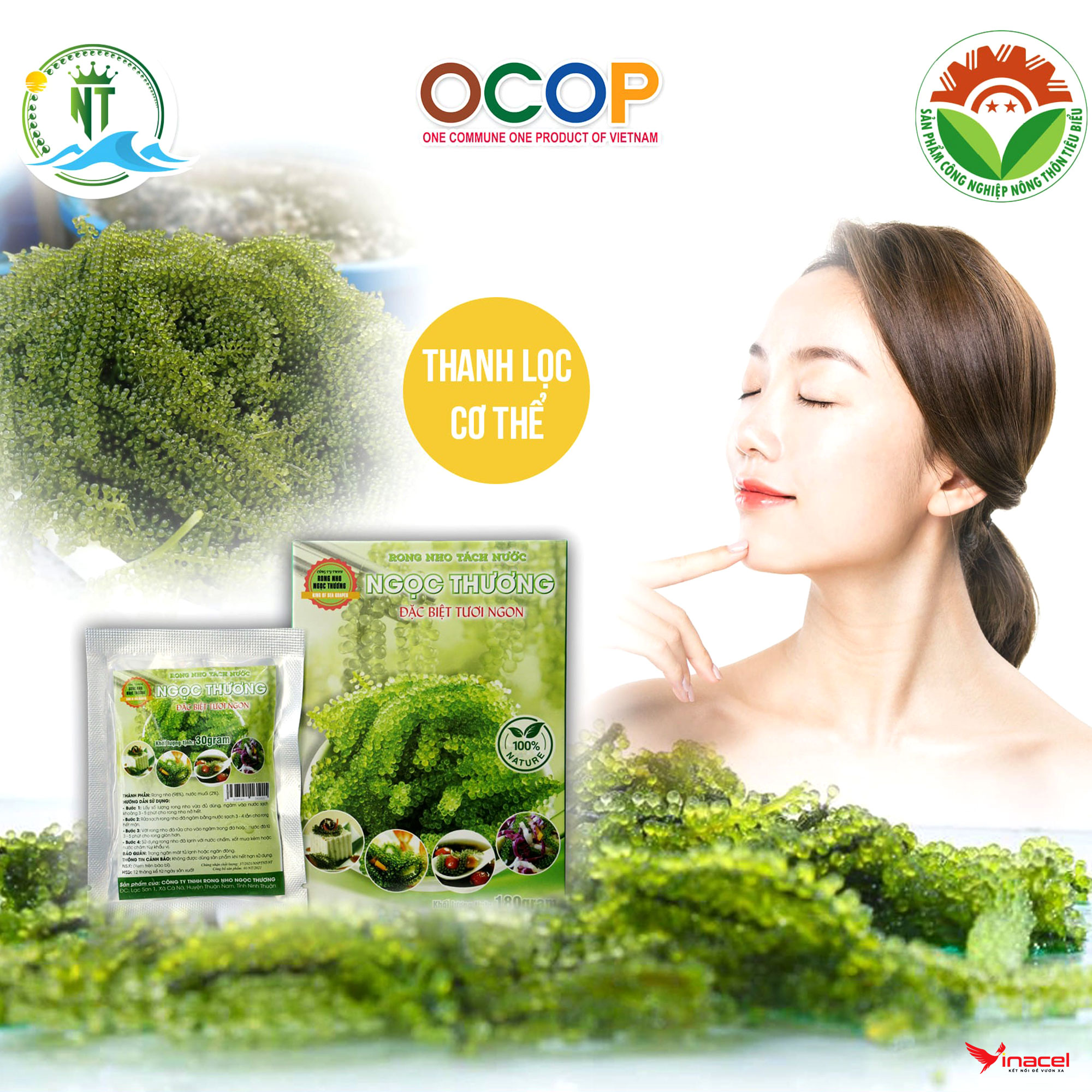 Rong Nho Ngọc Thương Chính Hãng, Giá Sỉ