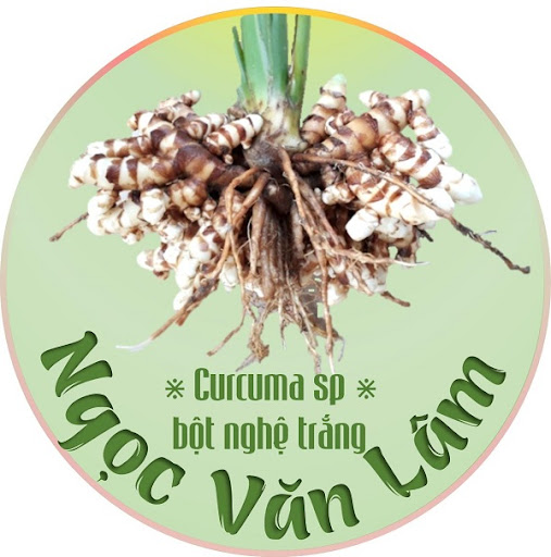 Hộ Kinh Doanh Ngọc Văn Lâm