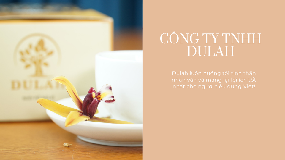 Công Ty TNHH Dulah Bình Định