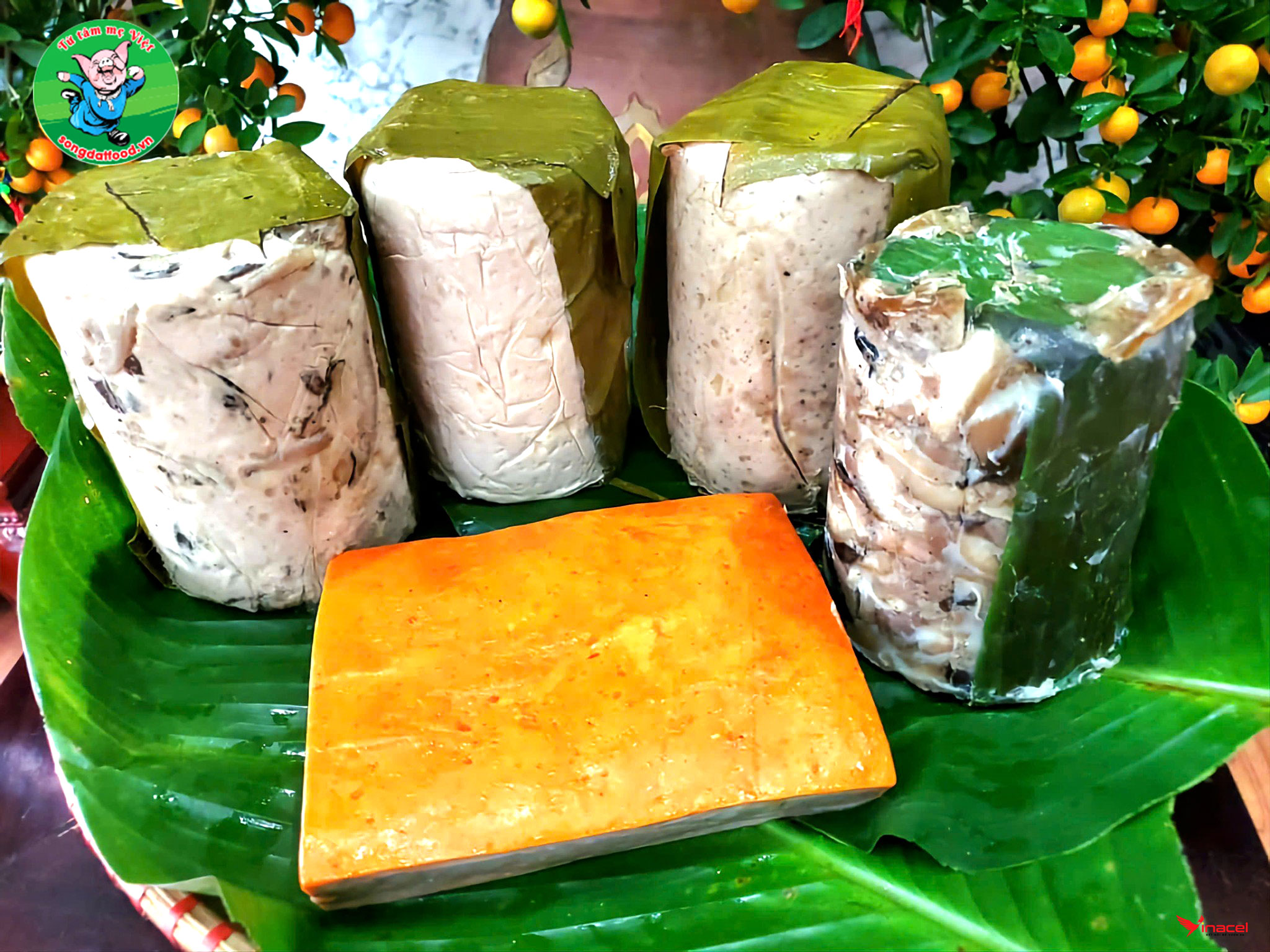 Thực Phẩm Song Đạt Chính Hãng, Giá Sỉ