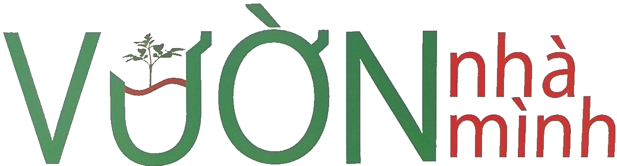 Công Ty TNHH Vườn Nhà Mình